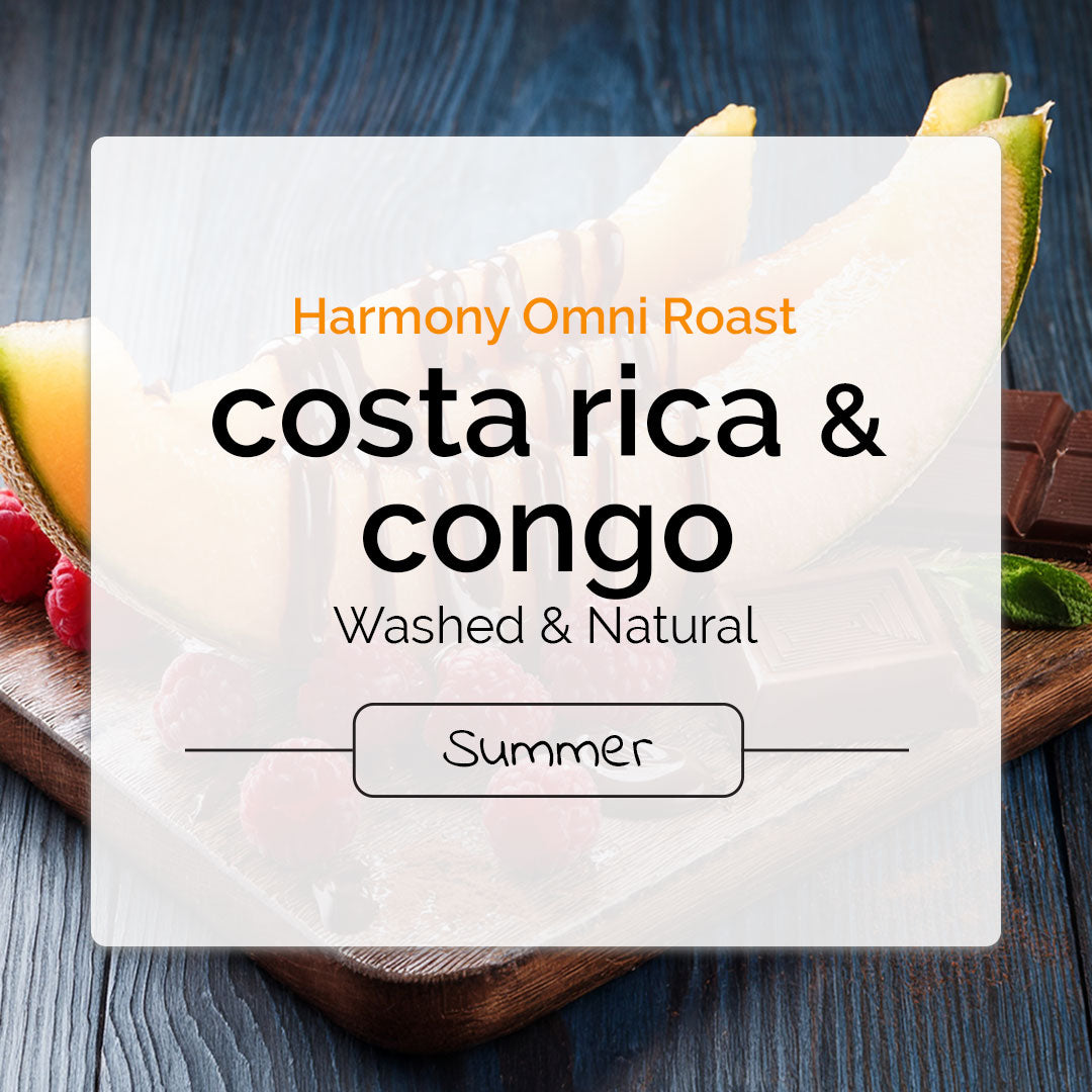 Harmony Omni-Roast: Costa Rica & Congo Blend Wholesale