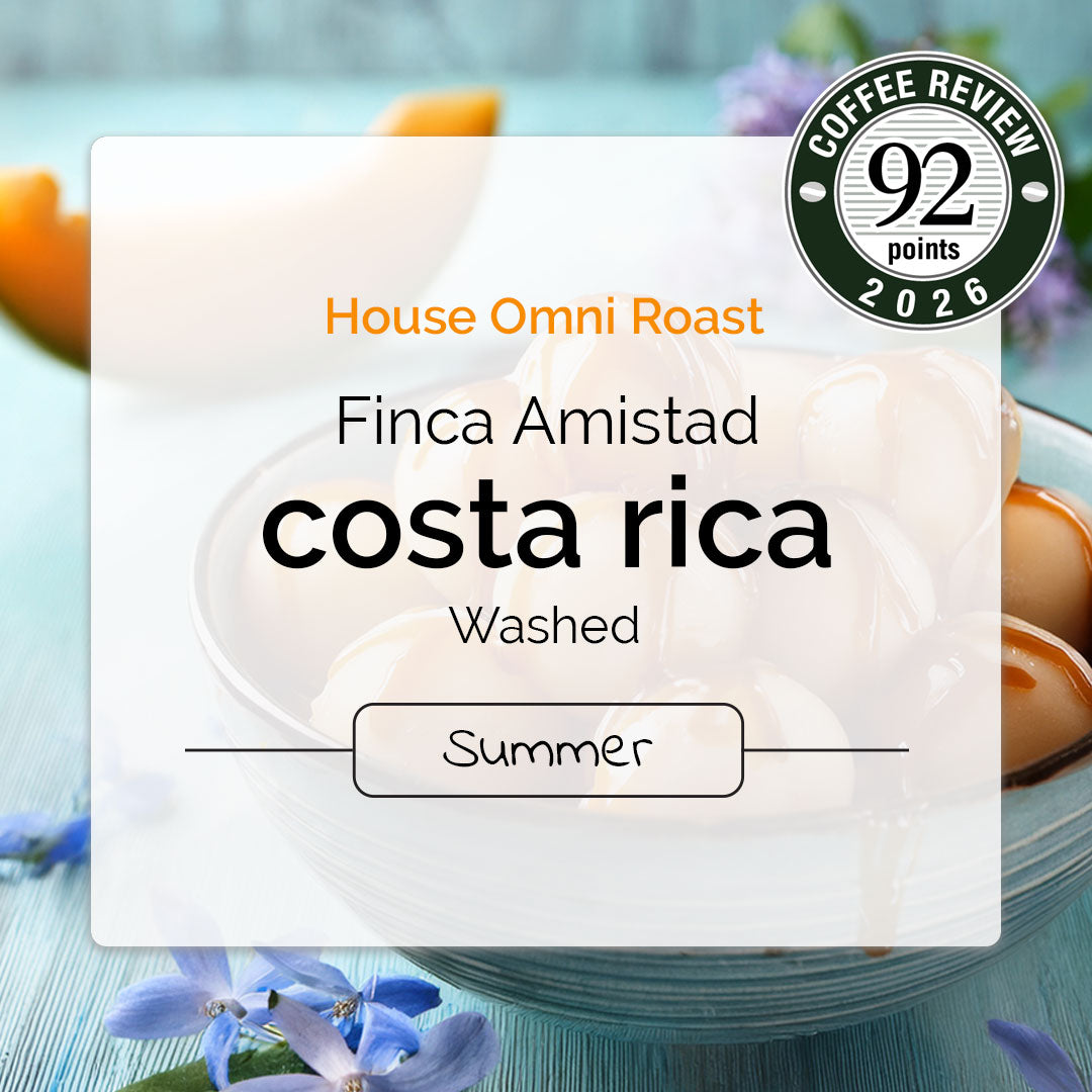 Costa Rican omni-roast with notes of caramel and melon, perfect for pourovers and espresso.