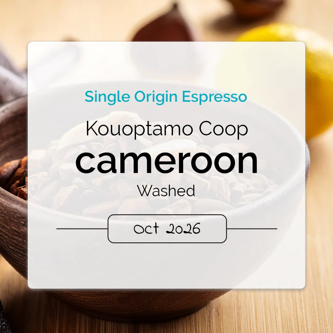 Washed SOE from Cameroon Kouoptamo Coop with bittersweet notes of cacao, roasted chestnut and lemon zest.