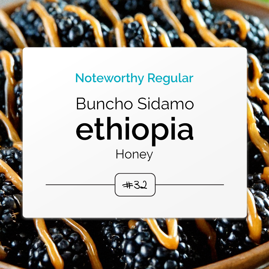 Noteworthy Regular: Ethiopia Buncho Sidamo