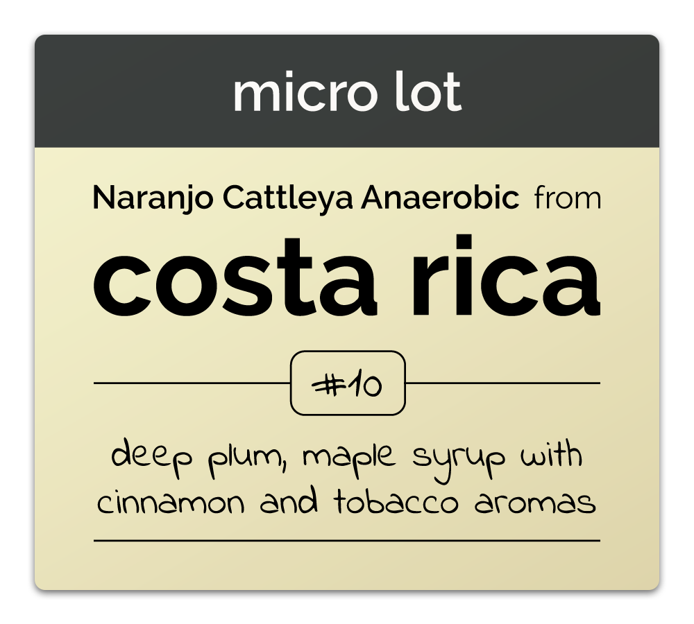 Micro Lot: Costa Rica Cattleya Anaerobic