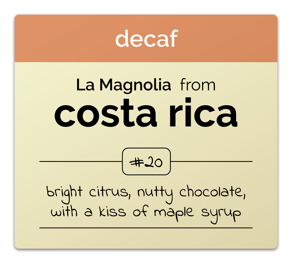 Costa Rica: Decaf La Magnolia