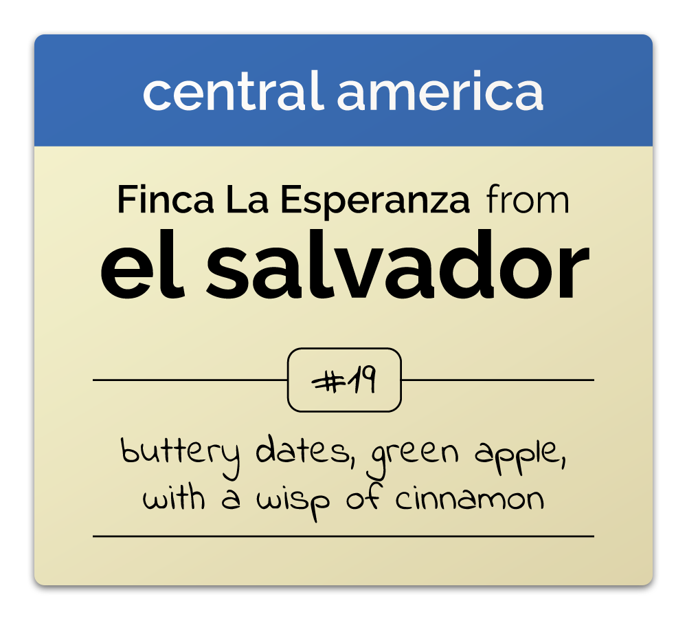 El Salvador: Finca La Esperanza