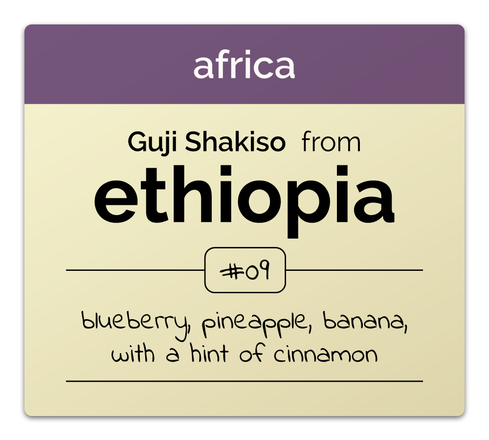 Ethiopia coffee, blueberry, pineapple, banana, cinnamon