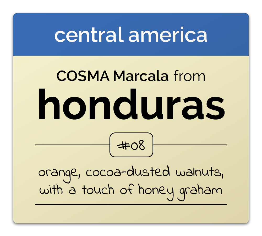 Honduras coffee, orange, walnut, honey graham