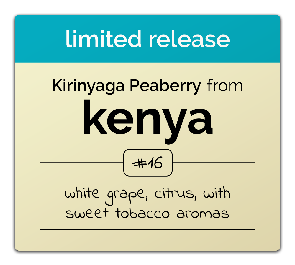 Limited Release: Kenya Kirinyaga County Peaberry