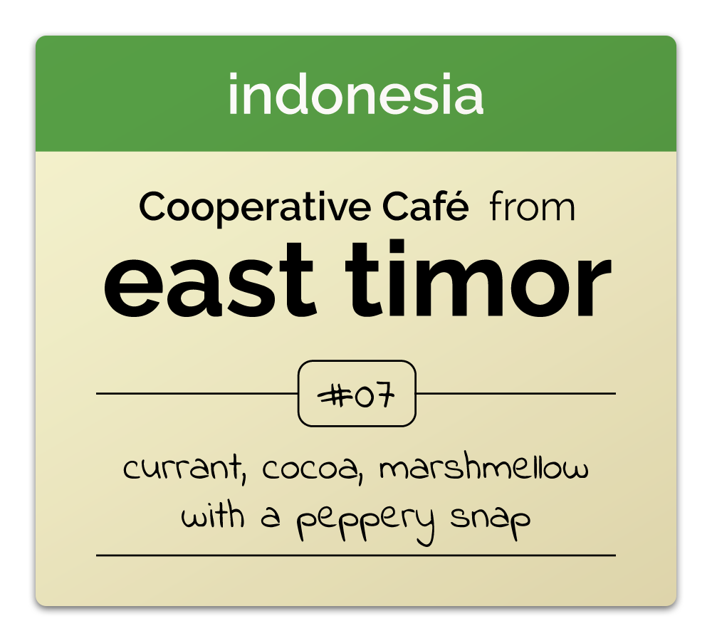 East Timor: Cooperativa Café