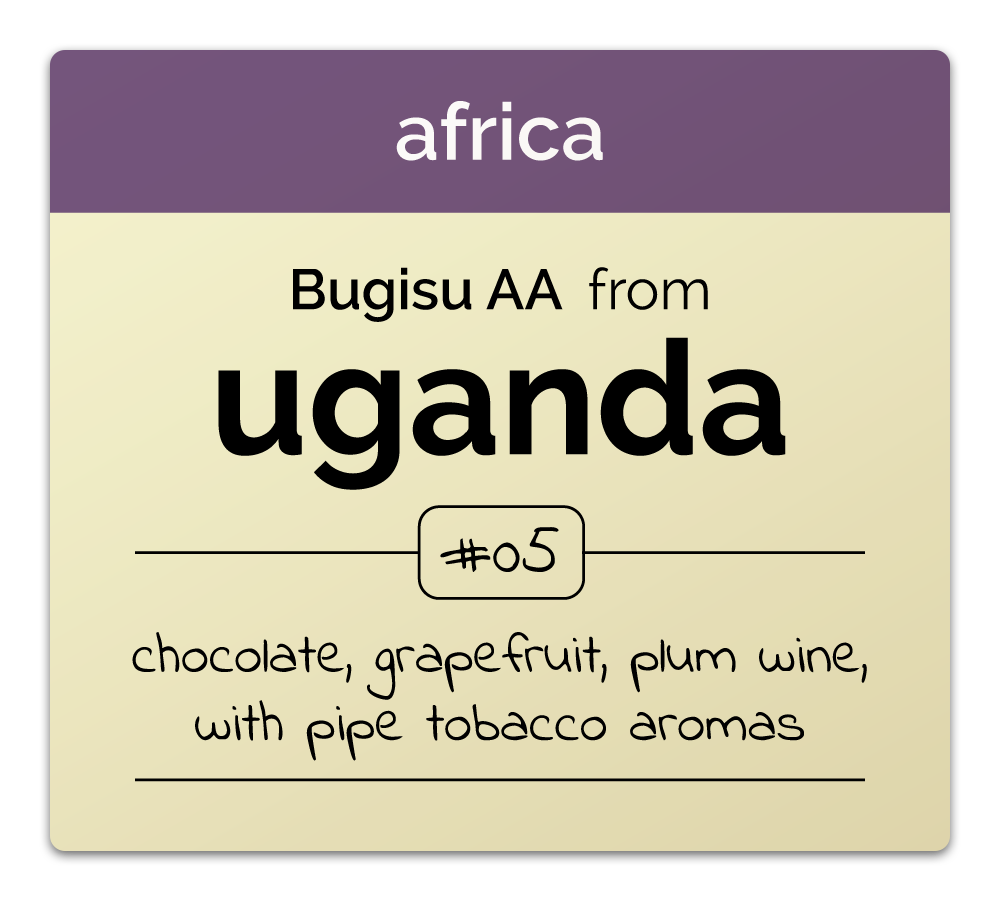 Uganda: Bugisu AA