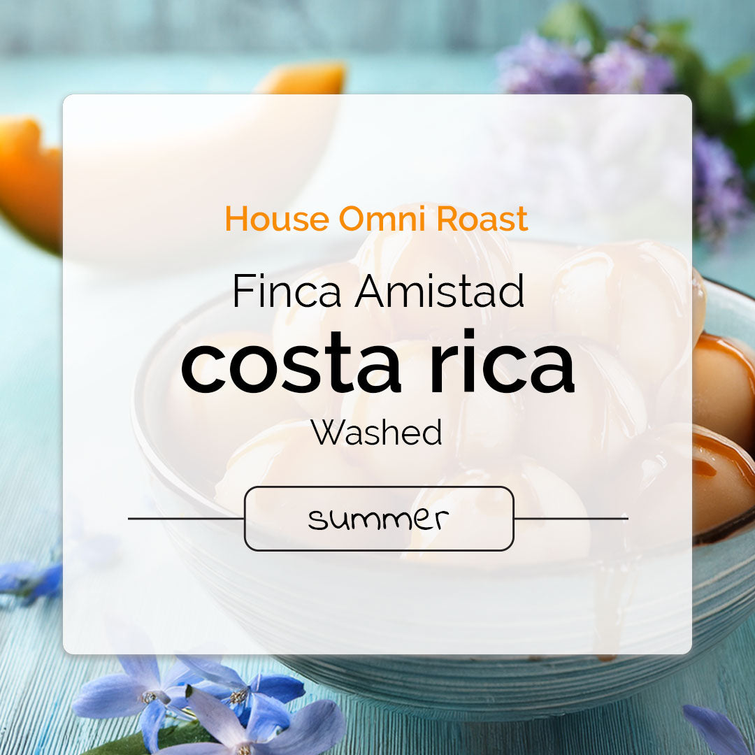 Costa Rican omni-roast with notes of caramel and melon, perfect for pourovers and espresso.