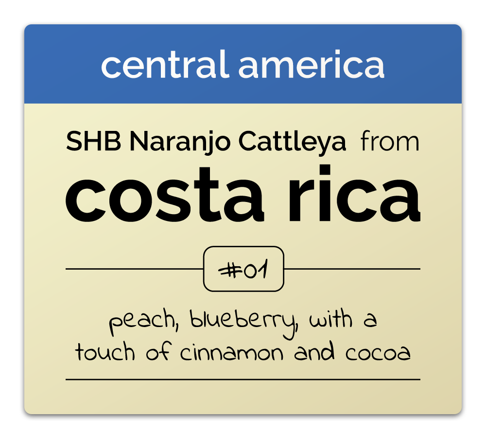 Costa Rica: SHB Naranjo Cattleya Natural