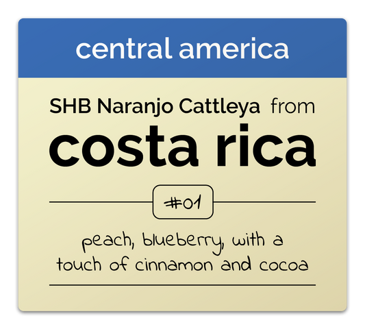 Costa Rica: SHB Naranjo Cattleya Natural